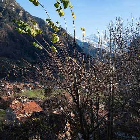 Swiss Holiday House วิลเดอร์สวิล ภายนอก รูปภาพ
